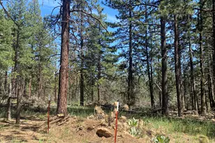 12543 Night Owl Dr, Bonanza, OR 97623 - Photo 6