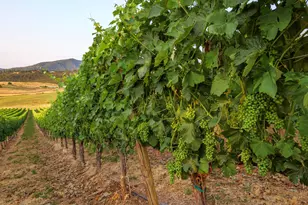 939 Carpenter Hill Rd, Medford, OR 97501 - Photo 16