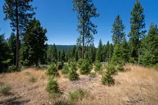 1240 Parsnip Loop, Butte Falls, OR 97522 - Photo 70