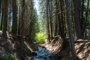 1240 Parsnip Loop, Butte Falls, OR 97522 - Photo 90