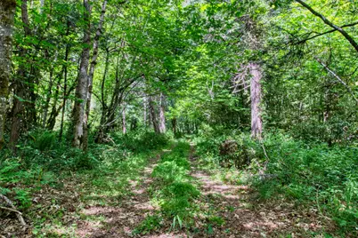 456 Garner Road, Cave Junction, OR 97523 - Photo 4