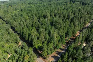 155 Daily Ln, Grants Pass, OR 97527 - Photo 30