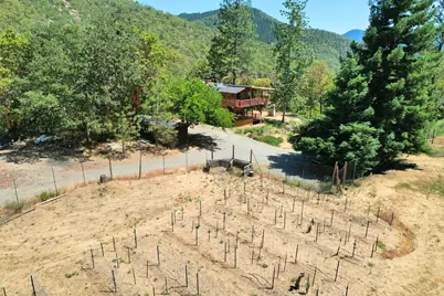 2231 Humbug Creek Road, Applegate, OR 97530 - Photo 8