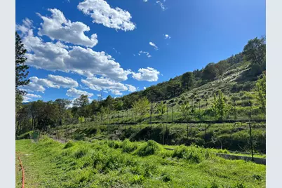 2231 Humbug Creek Road, Applegate, OR 97530 - Photo 6