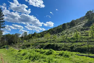 2231 Humbug Creek Rd, Applegate, OR 97530 - Photo 6