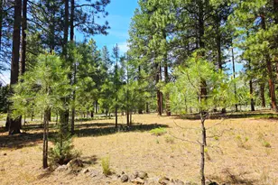 10211 Old Fort Rd, Klamath Falls, OR 97601 - Photo 60