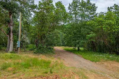 1251 Warner Road, Wolf Creek, OR 97497 - Photo 2