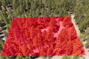 52300 Barberry Cir, La Pine, OR 97739 - Photo 10