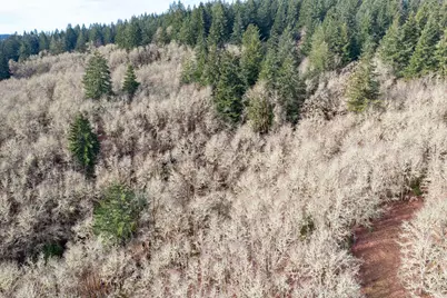 Next To Airlie Road, Monmouth, OR 97361 - Photo 30