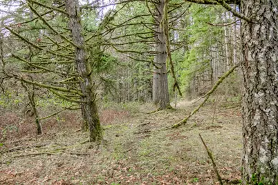 Next To Airlie Road, Monmouth, OR 97361 - Photo 20