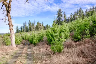 0 Airlie Road, Monmouth, OR 97361 - Photo 30