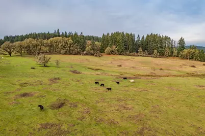 0 Airlie Road, Monmouth, OR 97361 - Photo 10