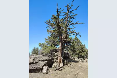 23041 Wampum Lane, Chiloquin, OR 97624 - Photo 10