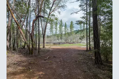 234 Lurline Lane, Cave Junction, OR 97523 - Photo 1