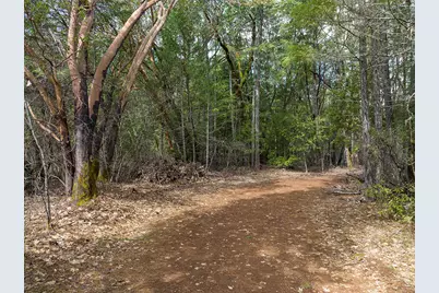 234 Lurline Lane, Cave Junction, OR 97523 - Photo 4