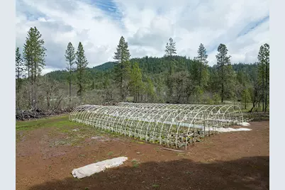 234 Lurline Lane, Cave Junction, OR 97523 - Photo 8