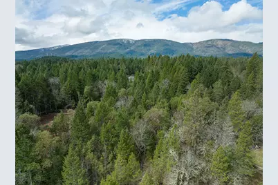 234 Lurline Lane, Cave Junction, OR 97523 - Photo 12