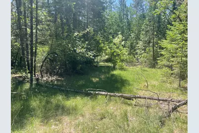 826 Ulrich Road, Prospect, OR 97536 - Photo 6