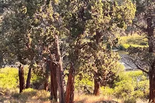 20087 Beaver Ln, Bend, OR 97703 - Photo 40