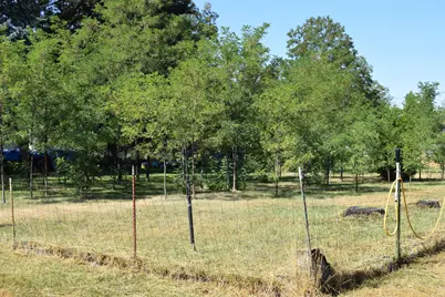 119 Patton Bar Road, Cave Junction, OR 97523 - Photo 20