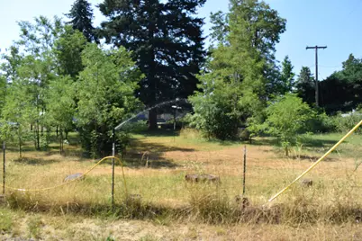 119 Patton Bar Road, Cave Junction, OR 97523 - Photo 10