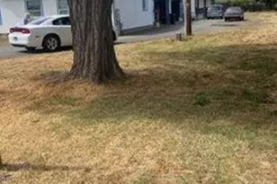 2720 Redwood Ave, Grants Pass, OR 97527 - Photo 2