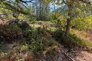 18485 Williams Hwy, Williams, OR 97544 - Photo 24