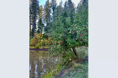 14242 Geppert Road, Butte Falls, OR 97522 - Photo 34