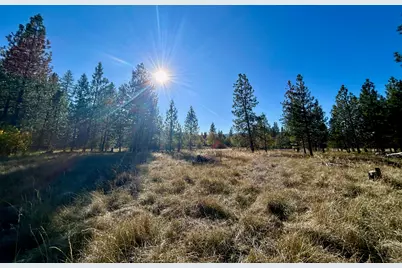 14242 Geppert Road, Butte Falls, OR 97522 - Photo 30