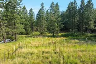 14242 Geppert Rd, Butte Falls, OR 97522 - Photo 46