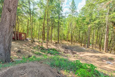 4050 Placer Road, Wolf Creek, OR 97497 - Photo 10