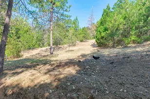 4050 Placer Rd, Wolf Creek, OR 97497 - Photo 34