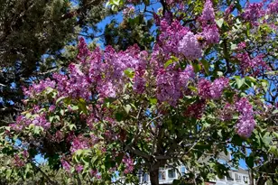 5524 SW Boulder Ln, Culver, OR 97734 - Photo 42