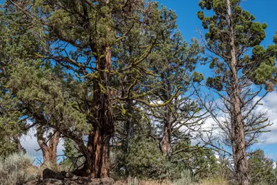 64401 Deschutes Market Road, Bend, OR 97701 - Photo 34