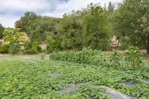 4441 Upper River Rd, Grants Pass, OR 97526 - Photo 16