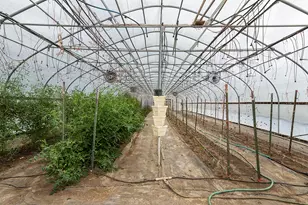 4441 Upper River Rd, Grants Pass, OR 97526 - Photo 10