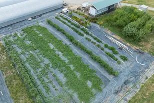 4441 Upper River Rd, Grants Pass, OR 97526 - Photo 14