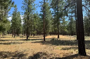 28961 Yonna Wood Rd, Bonanza, OR 97623 - Photo 44