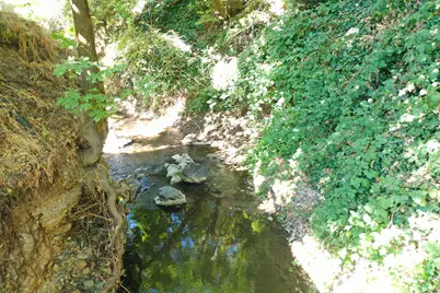 253 SW Central Avenue, Grants Pass, OR 97526 - Photo 6