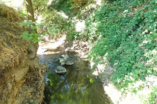 253 SW Central Ave, Grants Pass, OR 97526 - Photo 6