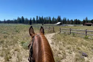 76231 Hwy 31, Fort Rock, OR 97735 - Photo 36