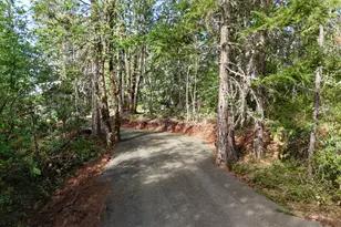 769 Mather Rd, Prospect, OR 97536 - Photo 44