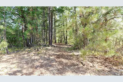 769 Mather Road, Prospect, OR 97536 - Photo 56