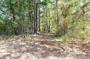 769 Mather Rd, Prospect, OR 97536 - Photo 56