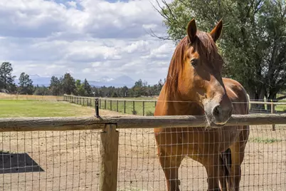 22500 Alfalfa Market Road, Bend, OR 97701 - Photo 74
