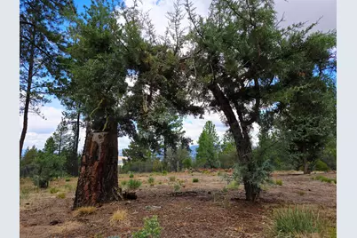 48070 Partin Drive, Beatty, OR 97621 - Photo 2