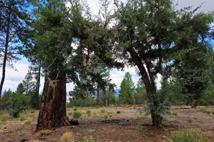 48070 Partin Dr, Beatty, OR 97621 - Photo 2