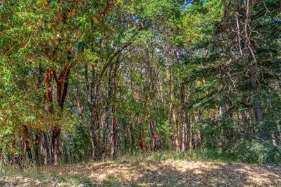 5010 Old Hwy 99 S, Ashland, OR 97520 - Photo 28