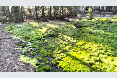 67500 Three Creeks Road, Sisters, OR 97759 - Photo 14