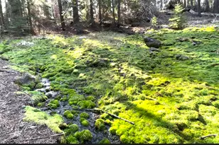 67500 Three Creeks Rd, Sisters, OR 97759 - Photo 14